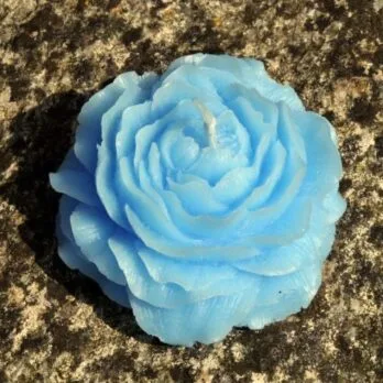 Bougie La fleur de Pivoine