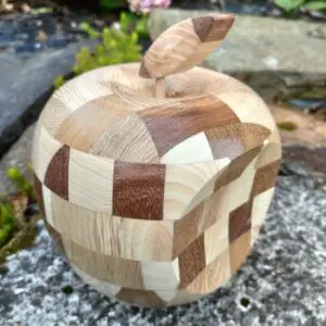Lire la suite à propos de l’article Pomme Apple