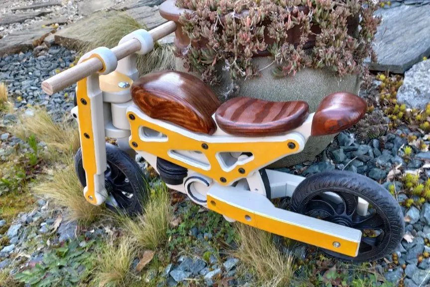 Draisienne vue arrière
